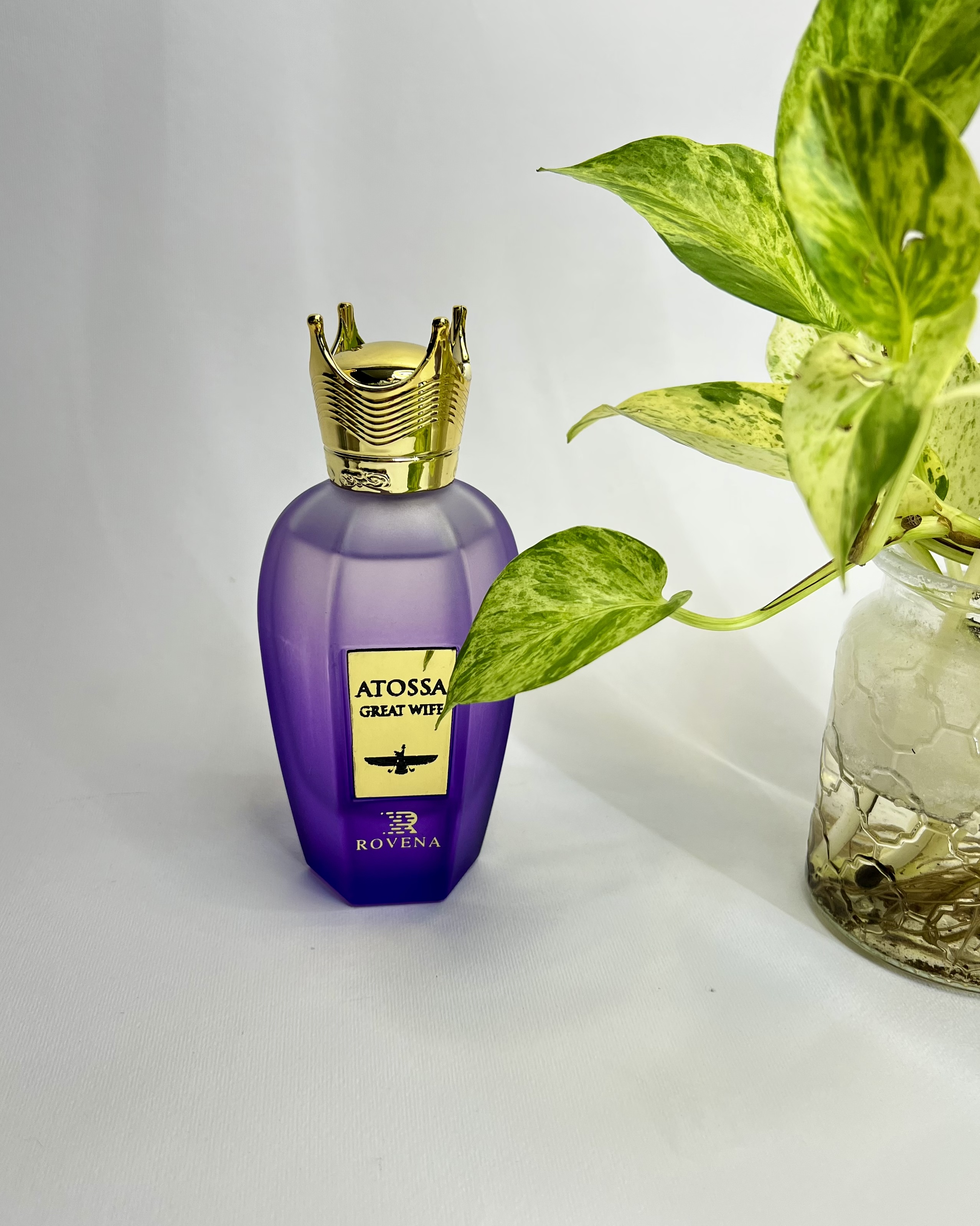 عطر ادکلن اتوسا رایحه گودگرل